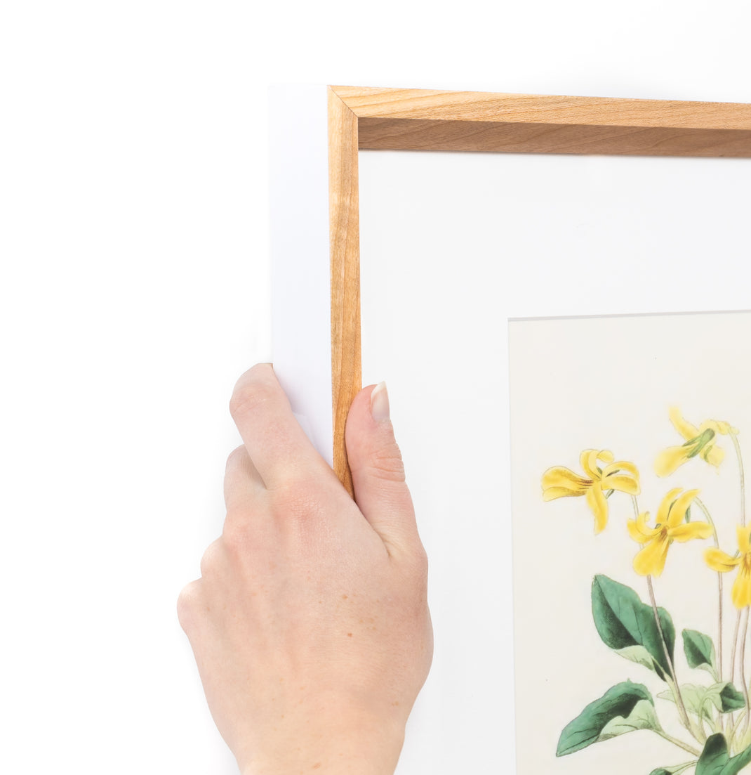 top left corner of yellow flowers botanical print framed in Cherry frame with white sides and a white mat
