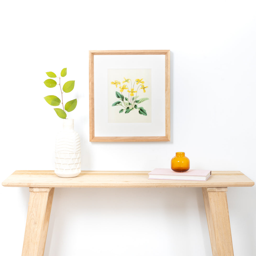 yellow flowers botanical print framed in Cherry frame with white sides and a white mat hanging on a white wall above a wood console table