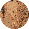 swatch image 70s_inspired