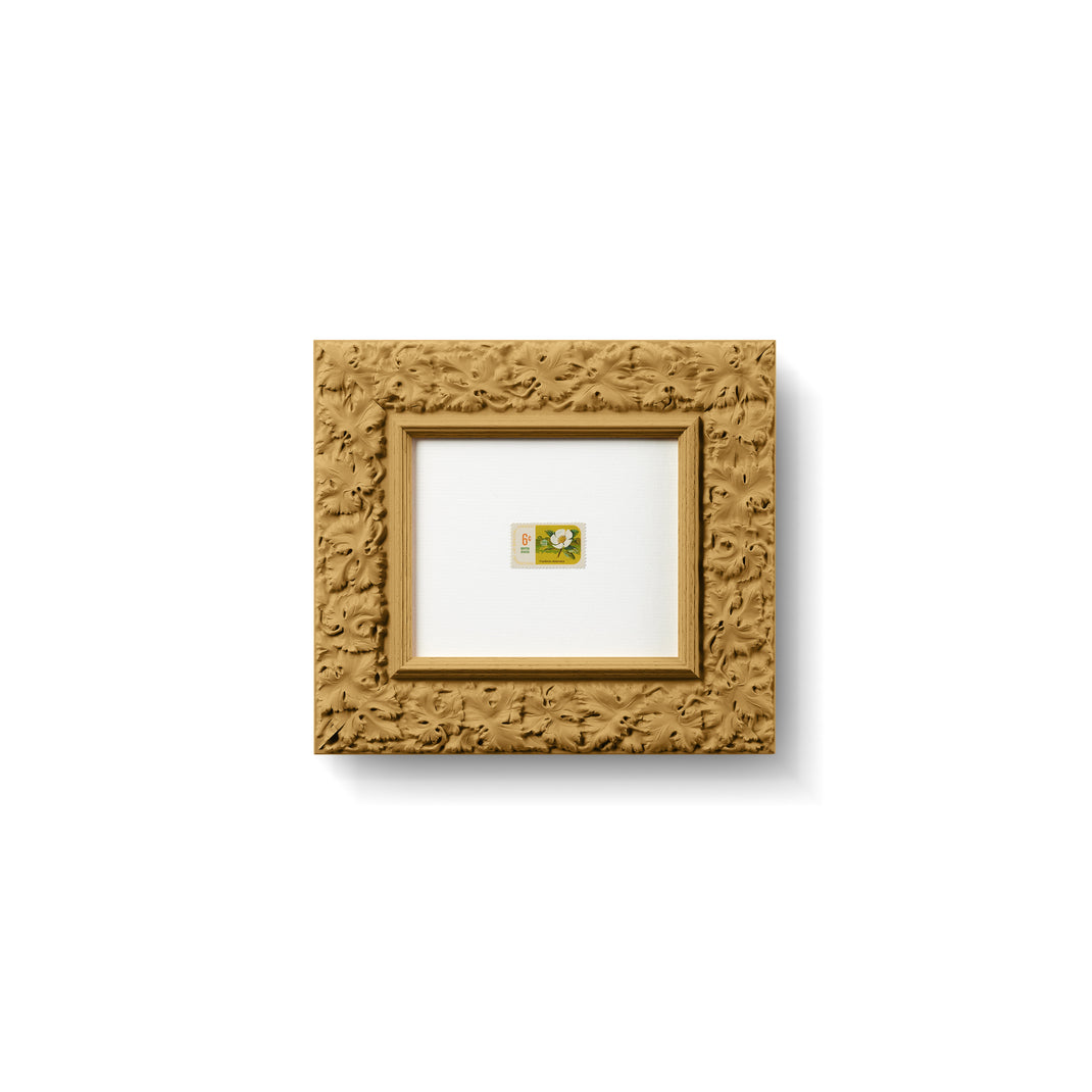 India Yellow [Prof. 02]