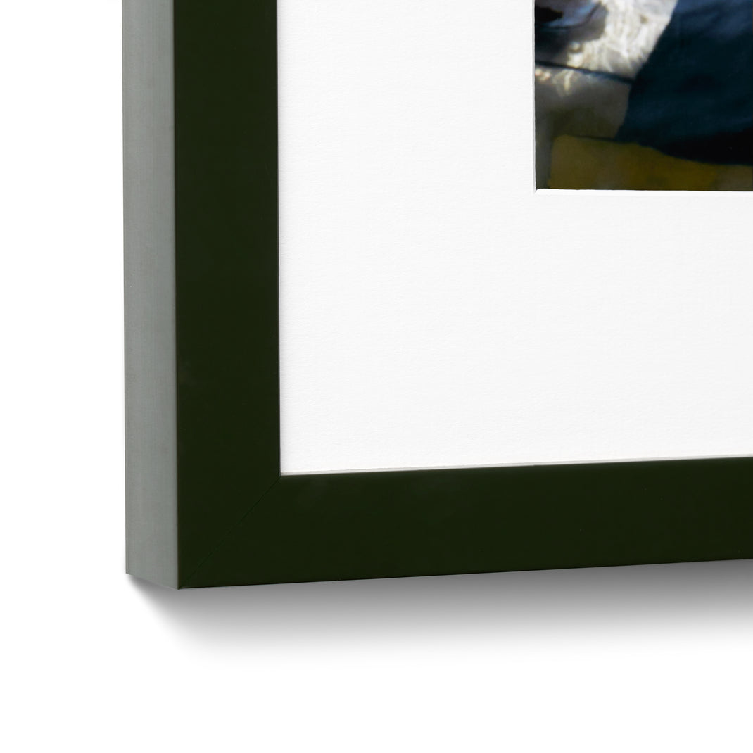 Olive Gloss