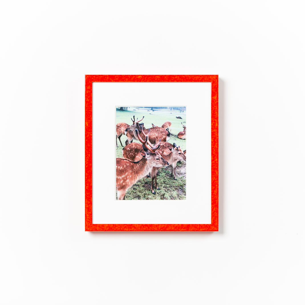 photograph of deer framed in kyoto red glazed frame with a white mat