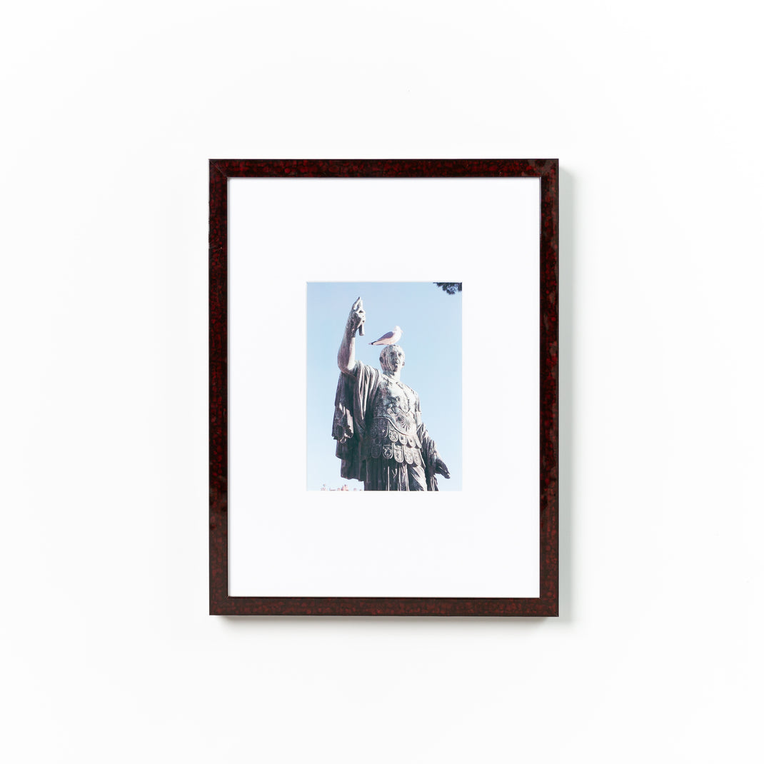 photo of a statue of a man with birds on it framed in deep burgundy glazed Rome frame with a white mat
