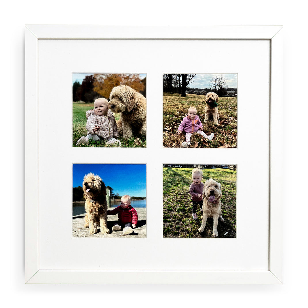 Four photos of a baby and a dog in the Quartet