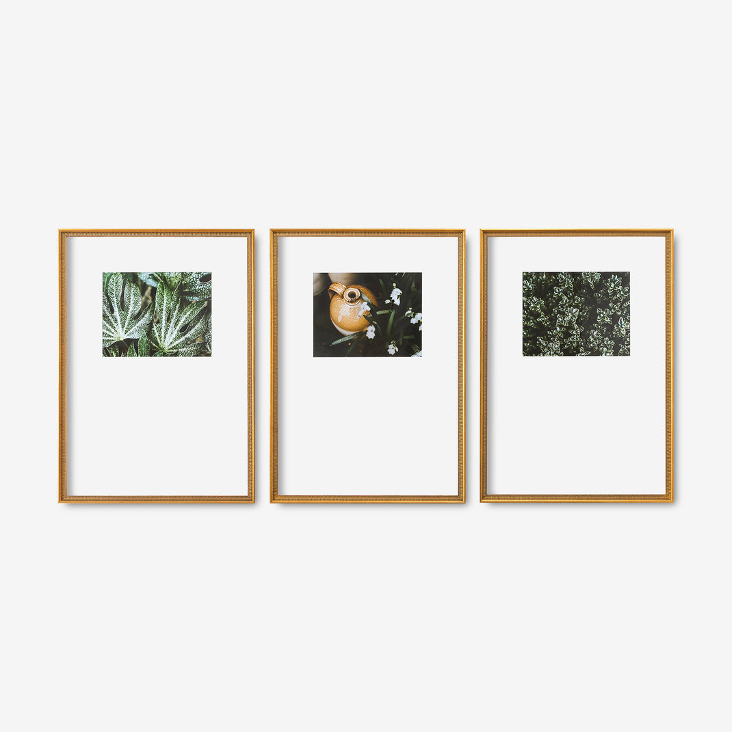 Frame