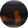 swatch image tortoise