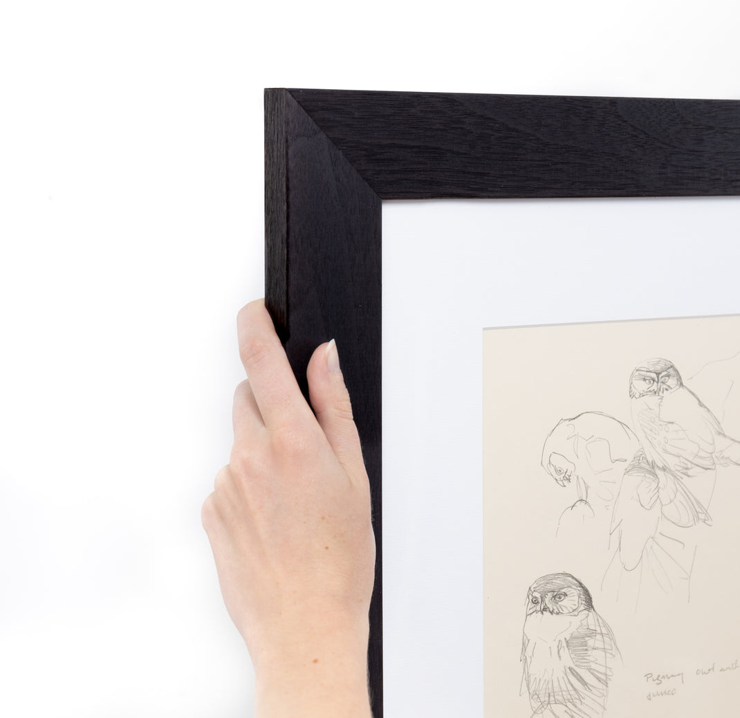 Top left corner of black and white sketch of birds framed in Black Walnut Wide frame with white mat