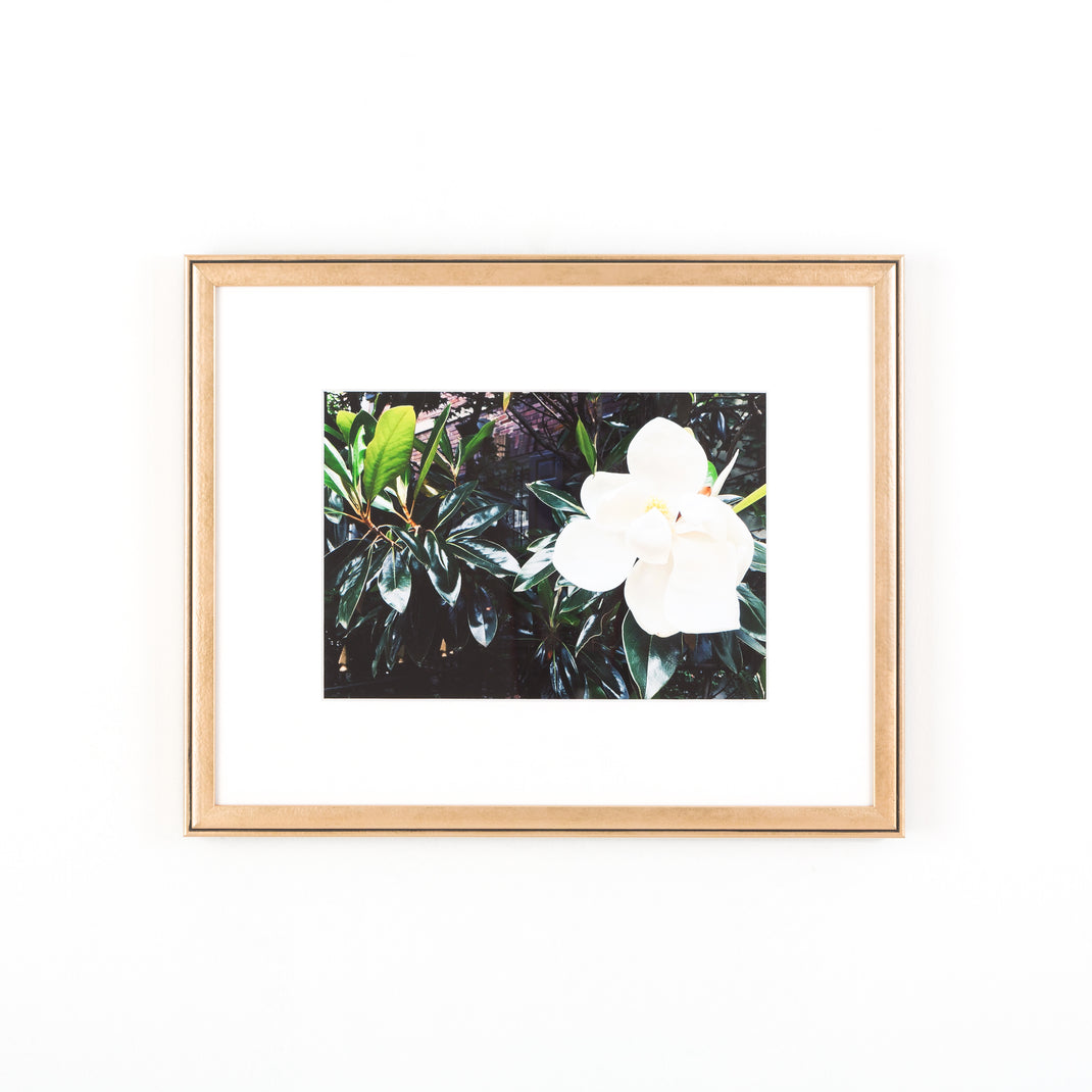 photograph of a magnolia bloom framed in rose gold Rosemont frame with a white mat
