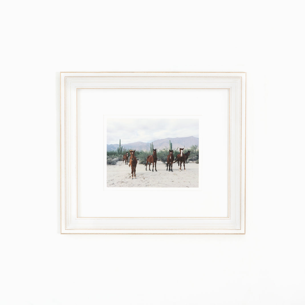 photograph of horses in the desert framed in wide distressed Montauk frame with a white mat